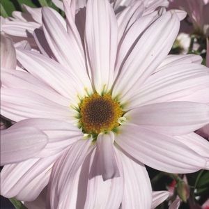 Meet your Posher, Dawna